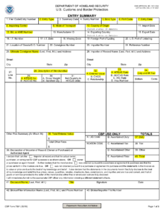 MAN 4673 CBP Form 7501 project form