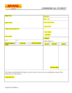 MAN 4673 - Commercial Invoice project form